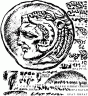 Реверс скифской монеты