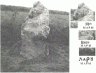 Каменная баба с коровьей головой