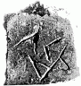 Керамический фрагмент из Винчи с надписью САР, АРС, РАС