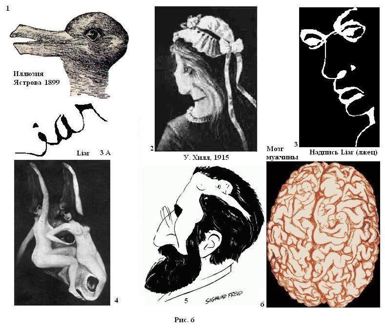 Картинки С Двойным Изображением Для Мозга