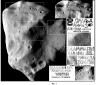asteroid7.jpg
